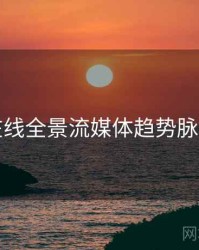 欧美在线全景流媒体趋势脉络揭秘