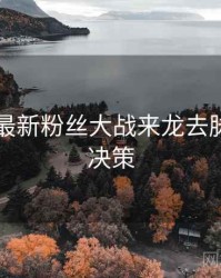 91黑料最新粉丝大战来龙去脉，助你决策