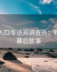 黑料网入口专访郑调查员：粉丝大战幕后故事